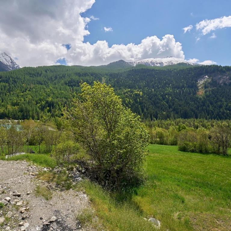 Chalet du Cerf - Chalet - 30