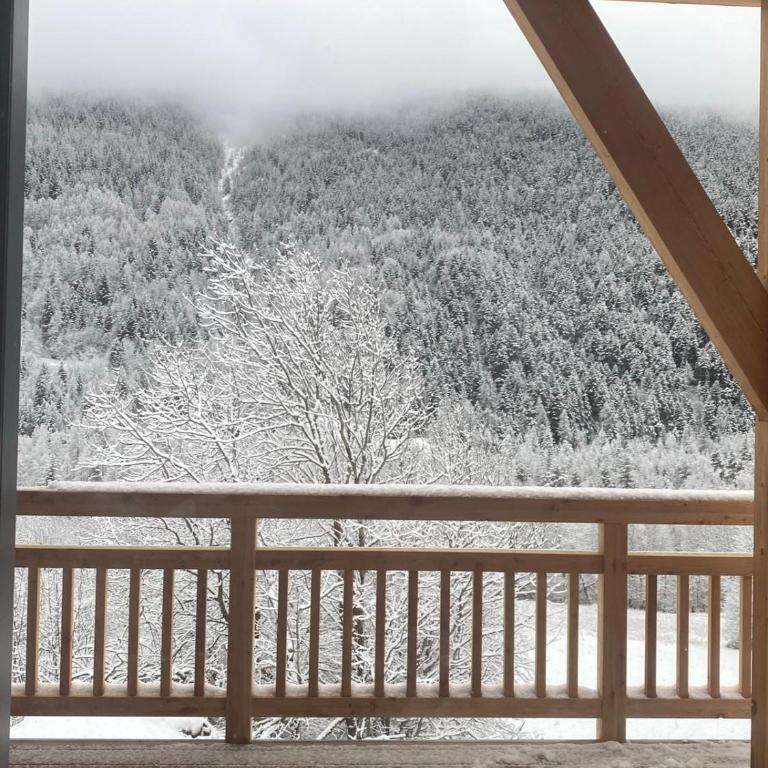 Chalet du Cerf - Chalet - 42