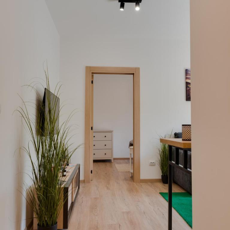 Vila Dara - Apartman sa 1 Spavaćom Sobom - 6