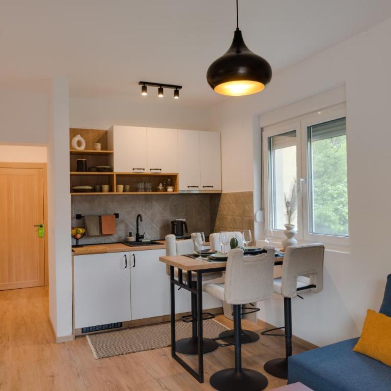 Vila Dara - Apartman sa 1 Spavaćom Sobom - 6