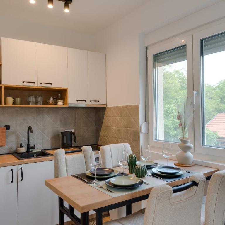 Vila Dara - Apartman sa 1 Spavaćom Sobom - 9