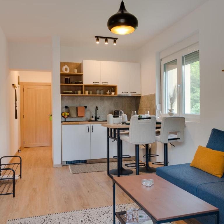 Vila Dara - Apartman sa 1 Spavaćom Sobom - 17
