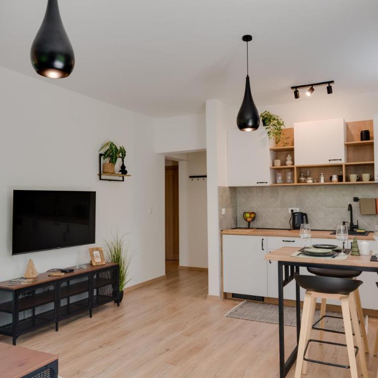 Vila Dara - Apartman sa 1 Spavaćom Sobom - 8