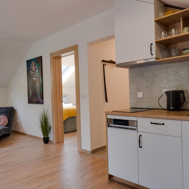 Vila Dara - Apartman sa 1 Spavaćom Sobom - 26