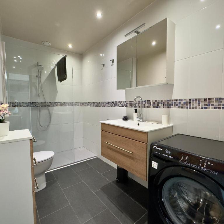 La Rose d'Or SCLS - Wifi, Parking - Appartement 1 Chambre - 13