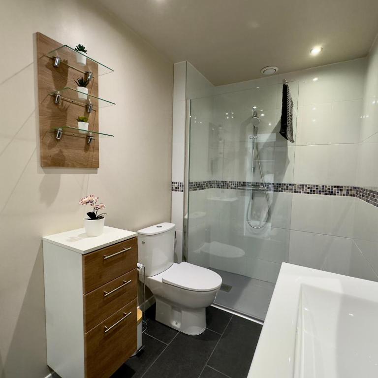 La Rose d'Or SCLS - Wifi, Parking - Appartement 1 Chambre - 12