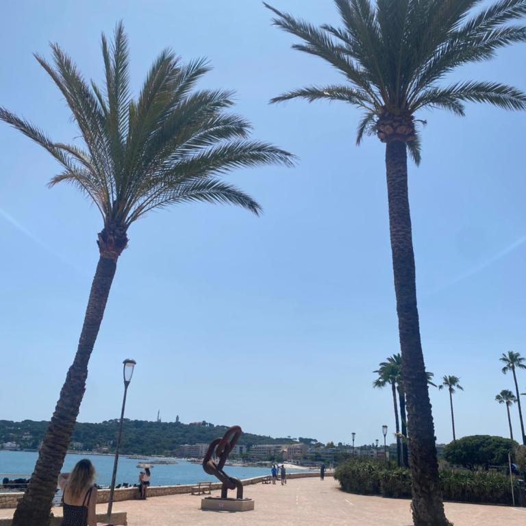 A deux pas des plages et au coeur du vieil Antibes , beau studio rénové - Appartement 1 Chambre - 16