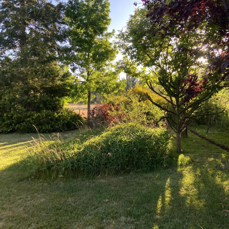 Casa Pintos - Casa con 1 dormitorio - 6