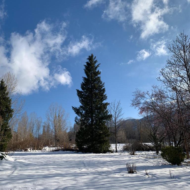 Casa Pintos - Casa con 1 dormitorio - 25