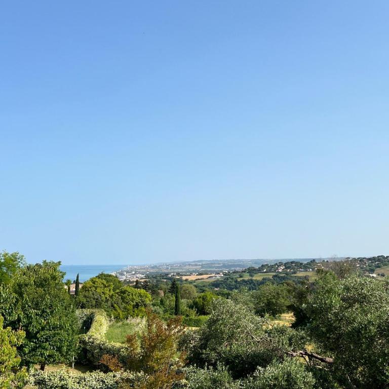 Casa Mansoor - Camera Matrimoniale con Vista Giardino - 2