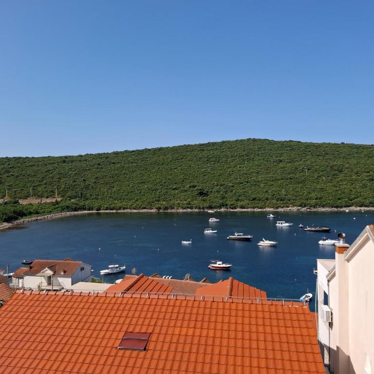 Apartment Bigovo - Studio with Sea View - 2