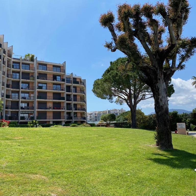 Trés beau Studio dans résidence calme avec 2 piscines,parking privé et proche des commerces et plage - Appartement 1 Chambre - 11