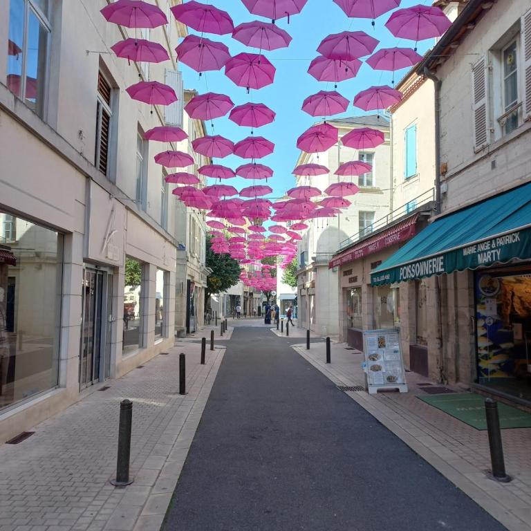 Périgueux, au cœur de l'histoire - Appartamento con 1 Camera da Letto - 6