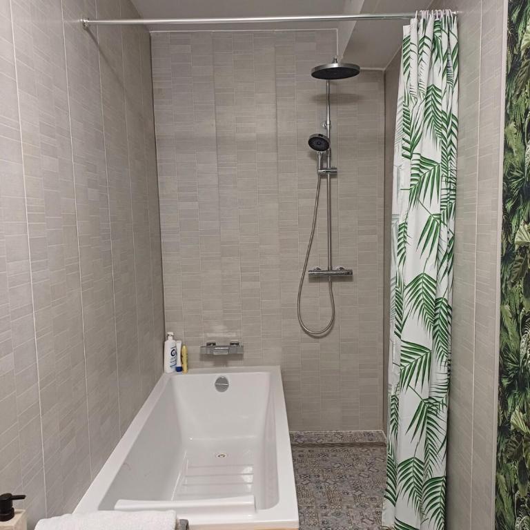 Périgueux, au cœur de l'histoire - Appartamento con 1 Camera da Letto - 8