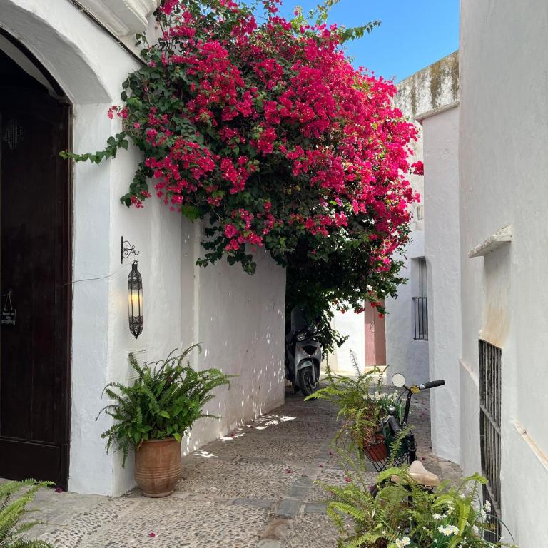 Casa Los Tres Stefan - Apartamento de 3 dormitorios - 21