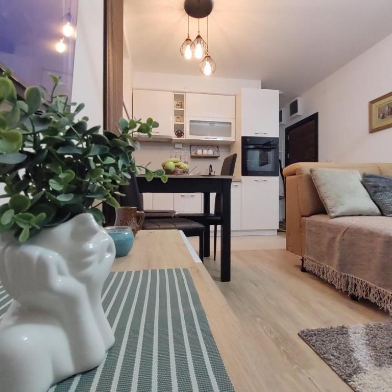 Apartman Jeca - Apartman sa 1 Spavaćom Sobom - 16