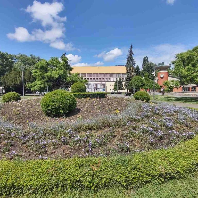 Apartman Jeca - Apartman sa 1 Spavaćom Sobom - 20