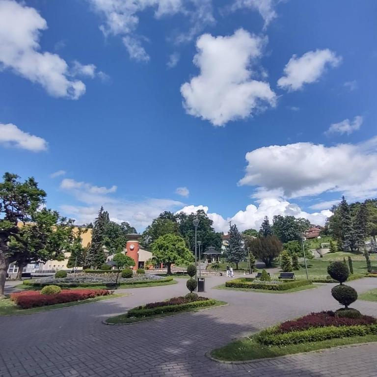 Apartman Jeca - Apartman sa 1 Spavaćom Sobom - 17