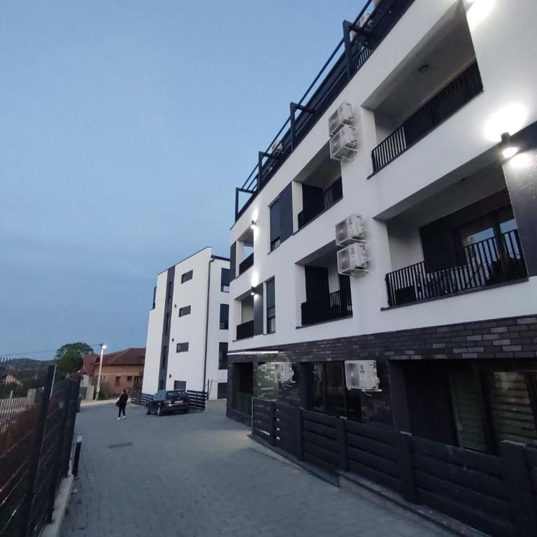 Apartman Jeca - Apartman sa 1 Spavaćom Sobom - 9