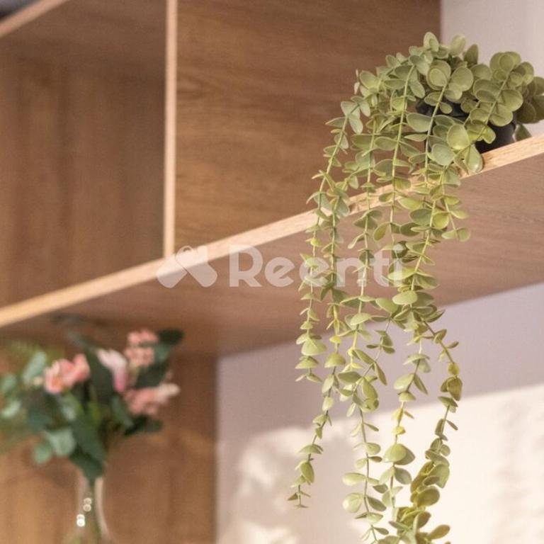 Apartmento en Zona T - One-Bedroom Apartment - 33