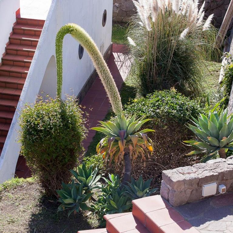 OLIVETTA Lipari - Villa - 82