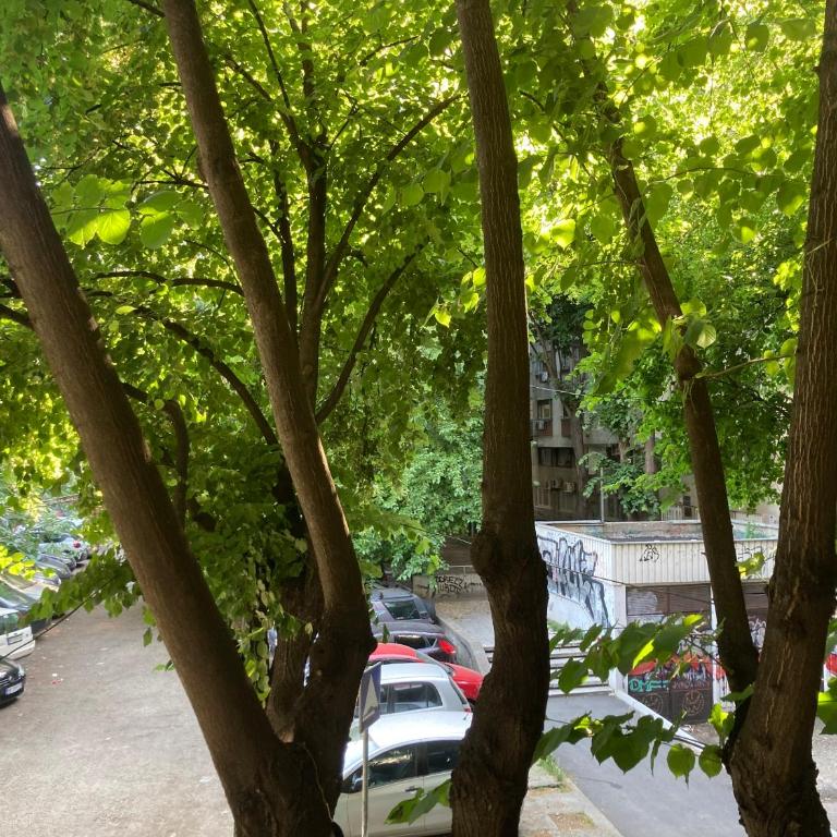 Chillton hostel - 6-Bed Mixed Dormitory Room - 11