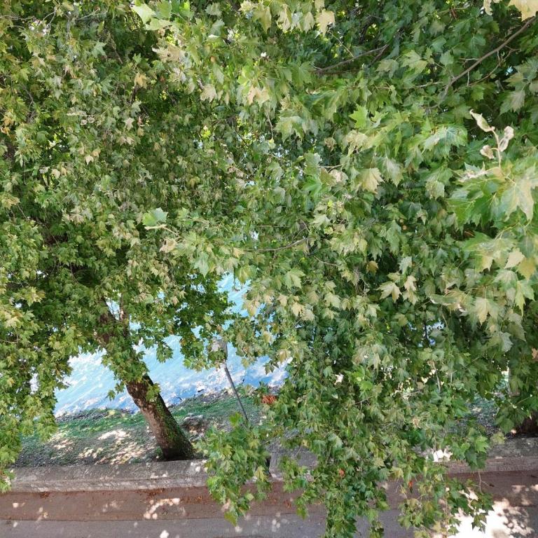 Trebišnjica Riverside Apartment - Appartement 2 Chambres - Vue sur Rivière - 18