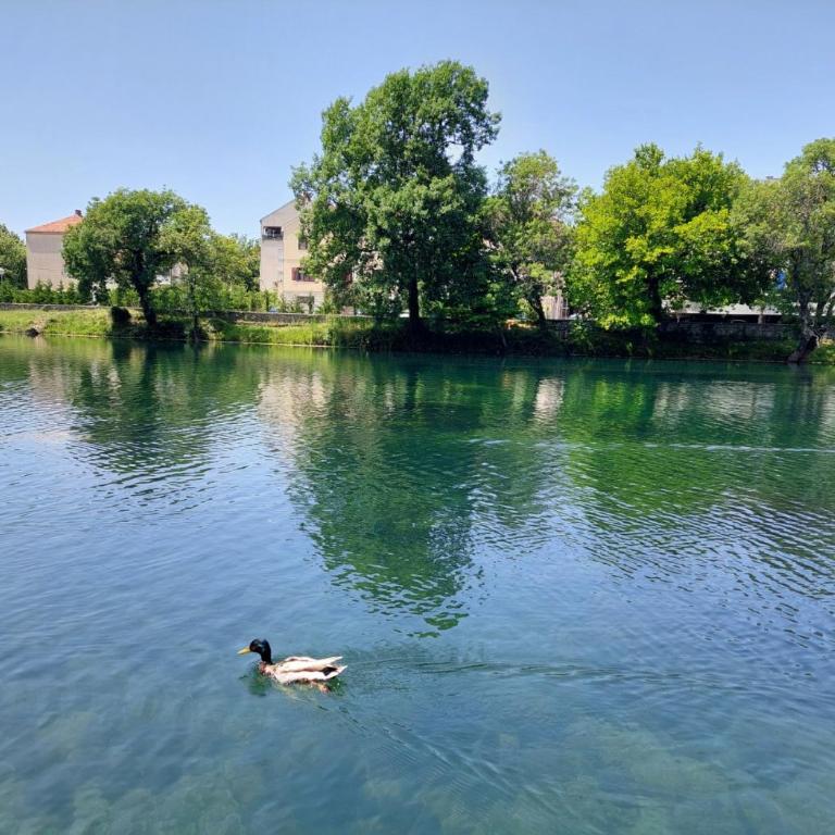 Trebišnjica Riverside Apartment - Appartement 2 Chambres - Vue sur Rivière - 21