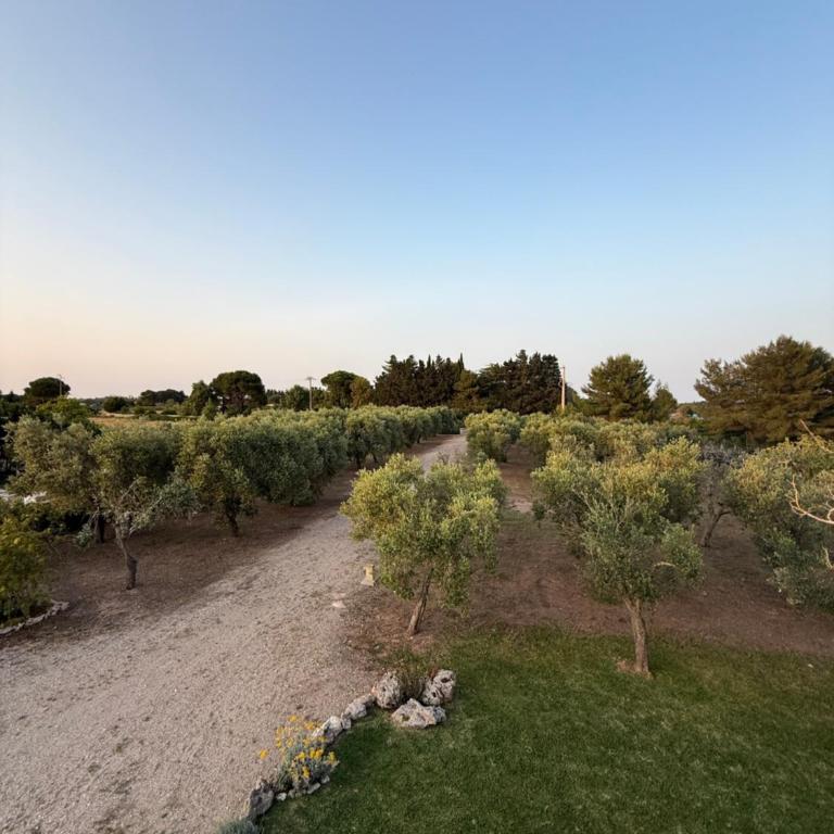 Villa Malepè con piscina - Villa con Piscina Privata - 20