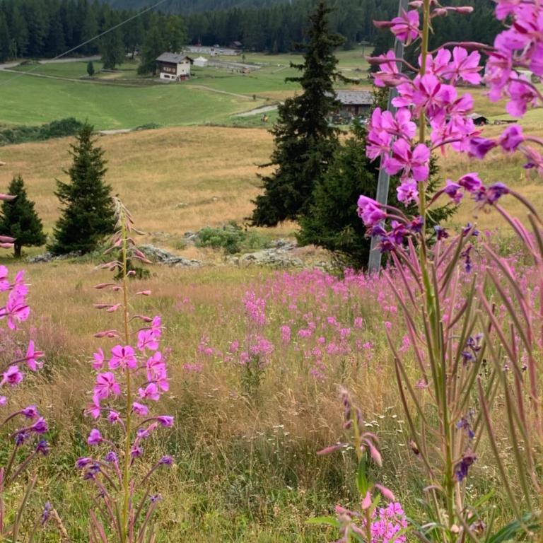 Grande Maison Du Coeur Champoluc Spa,Gym e Aree Relax - Two-Bedroom Apartment - 58