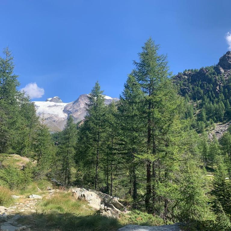 Grande Maison Du Coeur Champoluc Spa,Gym e Aree Relax - Two-Bedroom Apartment - 60