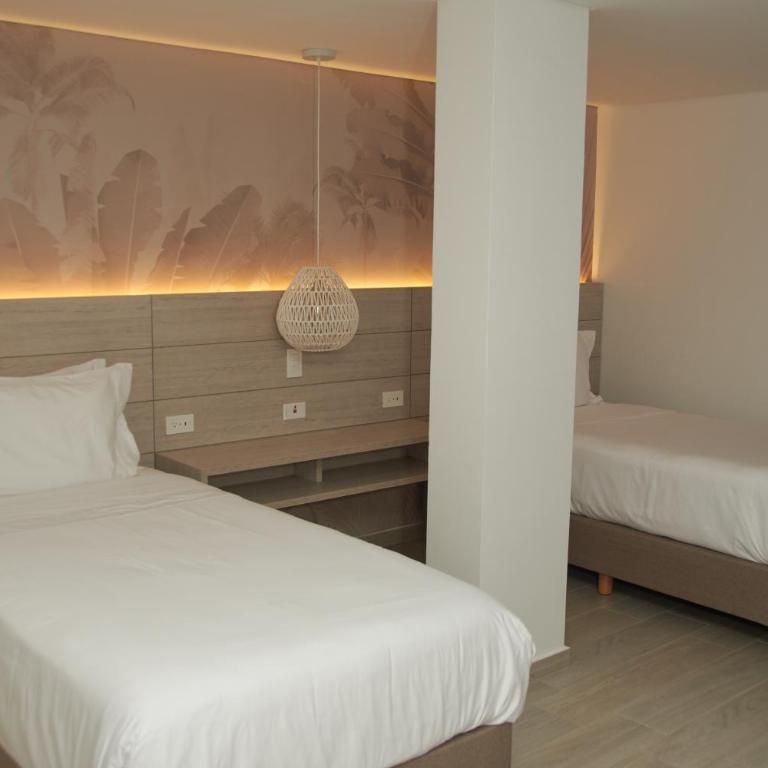 Zafi Hotel - Standard Twin Room - 1