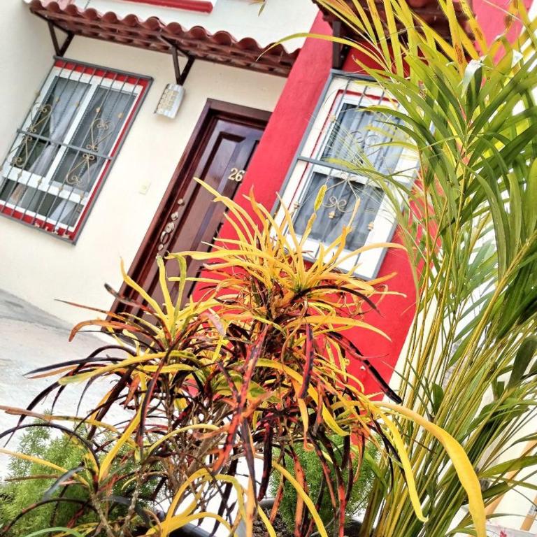 Casa encanto - Casa con 1 dormitorio - 40