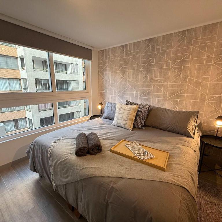 HOM I Depto 2PAX 1D1B en Santiago Movistar Arena - Apartamento - 20