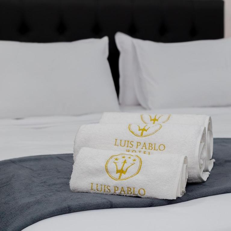 Hotel Luis Pablo - Double or Twin Room - 1
