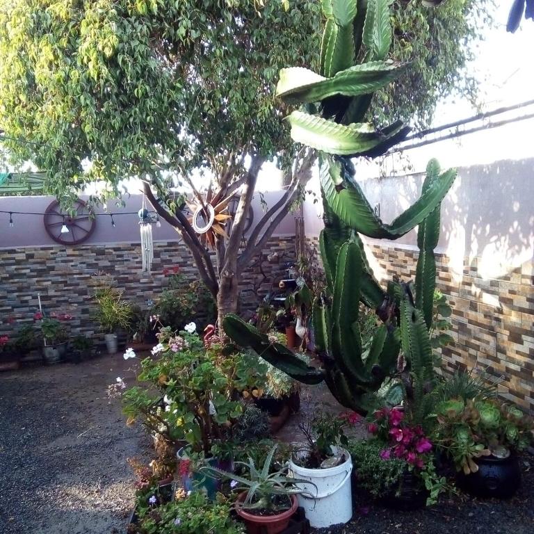 Casa 4 Seasons - Villa de 2 dormitorios - 18