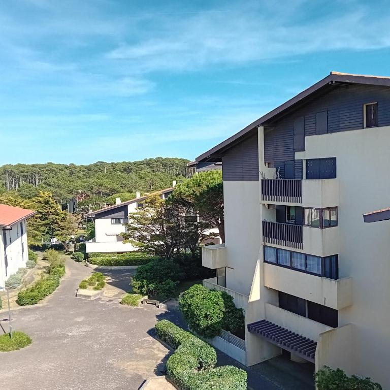 Seignosse : Appartement rénové à pied des plages avec climatisation - Apartamento de 1 dormitorio - 26