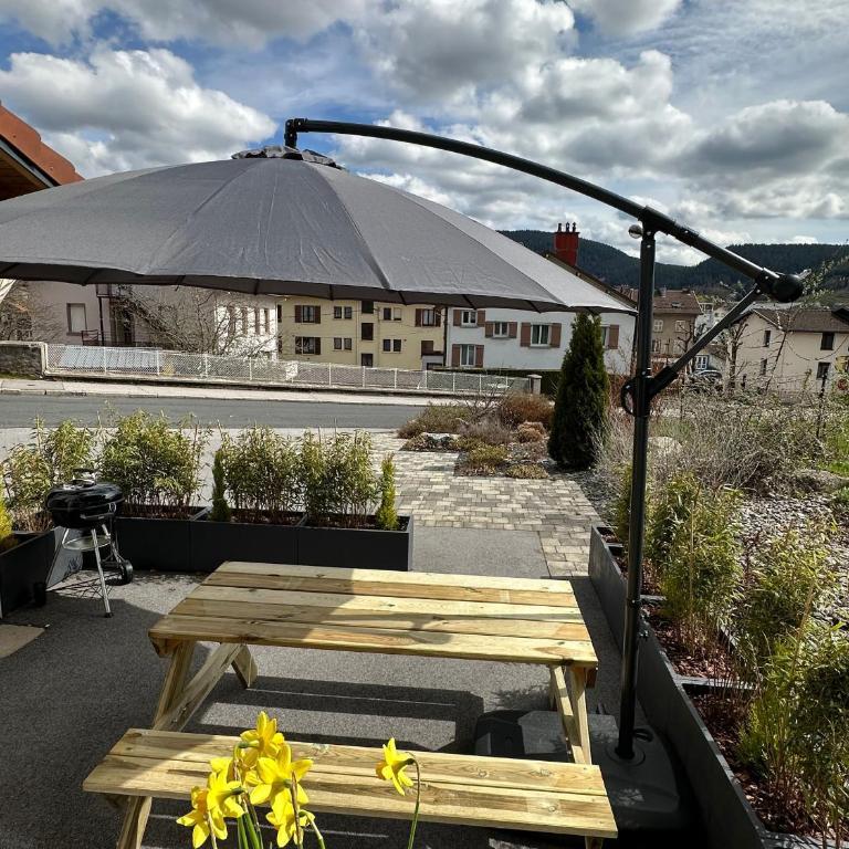 Appartement familial proche lac et centre à Gérardmer - 4 pers, animaux admis - FR-1-589-818 - Appartement - 12