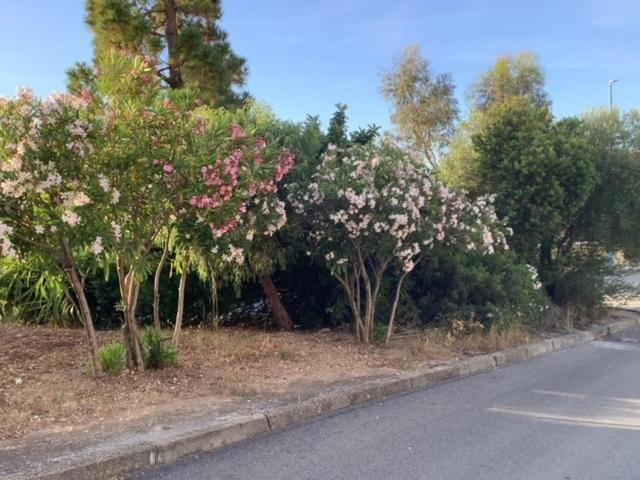 BenitiKe House - Appartamento con 2 Camere da Letto - 32