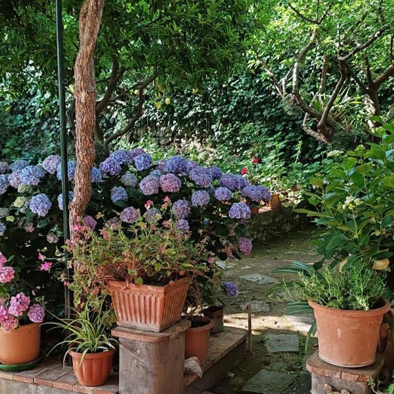 Villa dei fiori B&B - Camera Matrimoniale Deluxe con 1 Letto Supplementare - 15