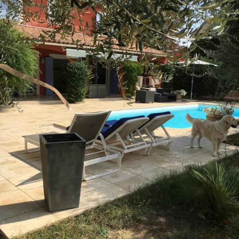 Cannes 5km Villa cosy - Villa - 8