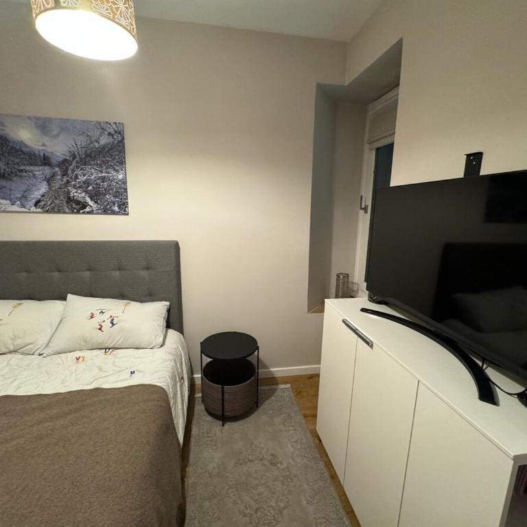 Chamonix city center rue Paccard - Apartment mit 1 Schlafzimmer - 14