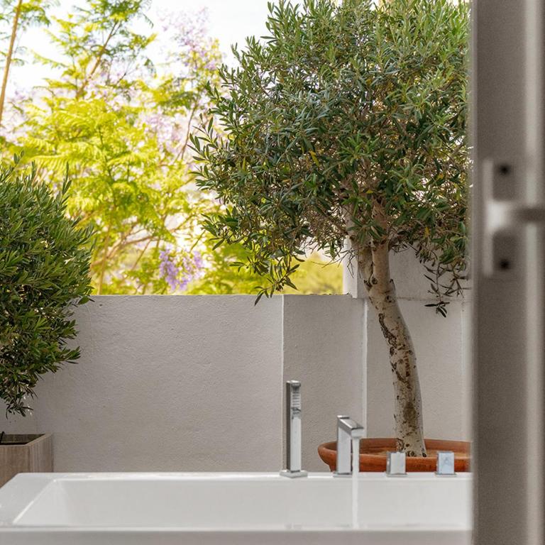 Molo Luxury Suites Puerto Banus - Suite Junior con terraza - 5