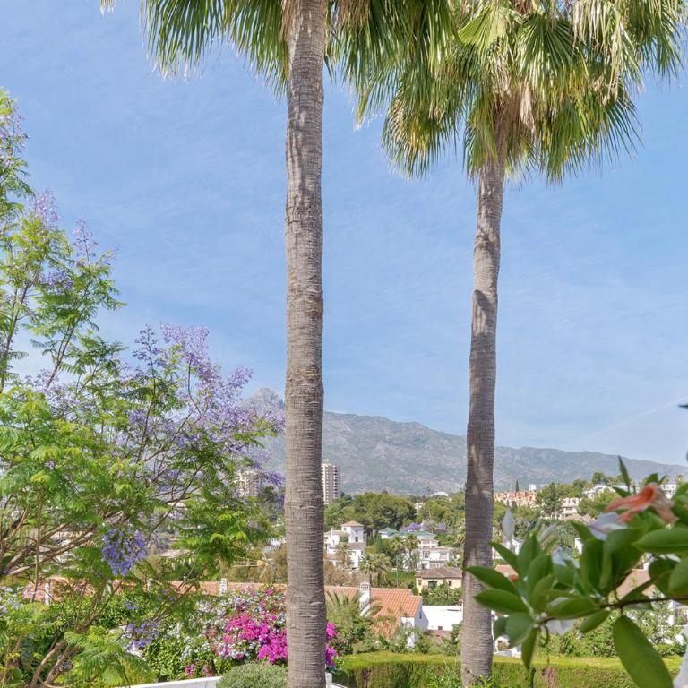 Molo Luxury Suites Puerto Banus - Suite Junior con terraza - 6