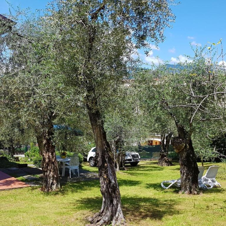 Casa Laura - Appartamento con 1 Camera da Letto - 4