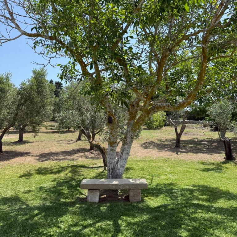 Villa Malepè con piscina - Villa con Piscina Privata - 9