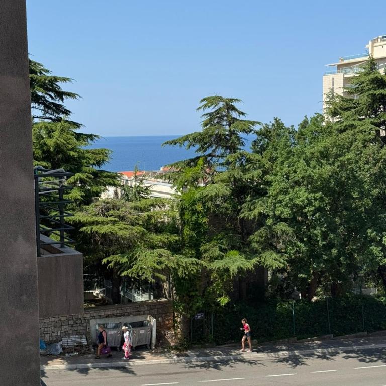 Maestral Apartment in Petrovac - One-Bedroom Apartment - 23