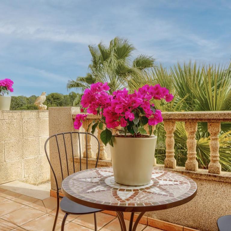 Cottage in nature with solarium - Apartamento de 2 dormitorios - 3
