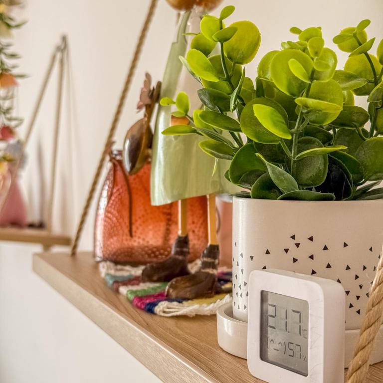 Apartment Vila Jela - Apartman sa 1 Spavaćom Sobom - 76