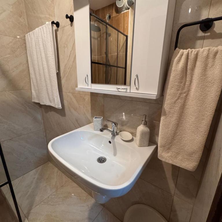 Apartments Damjan - Apartman sa 1 Spavaćom Sobom - 12